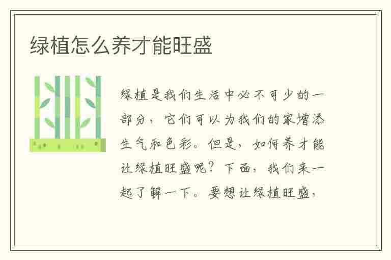 绿植怎么养才能旺盛(绿植怎么养才能旺盛呢)